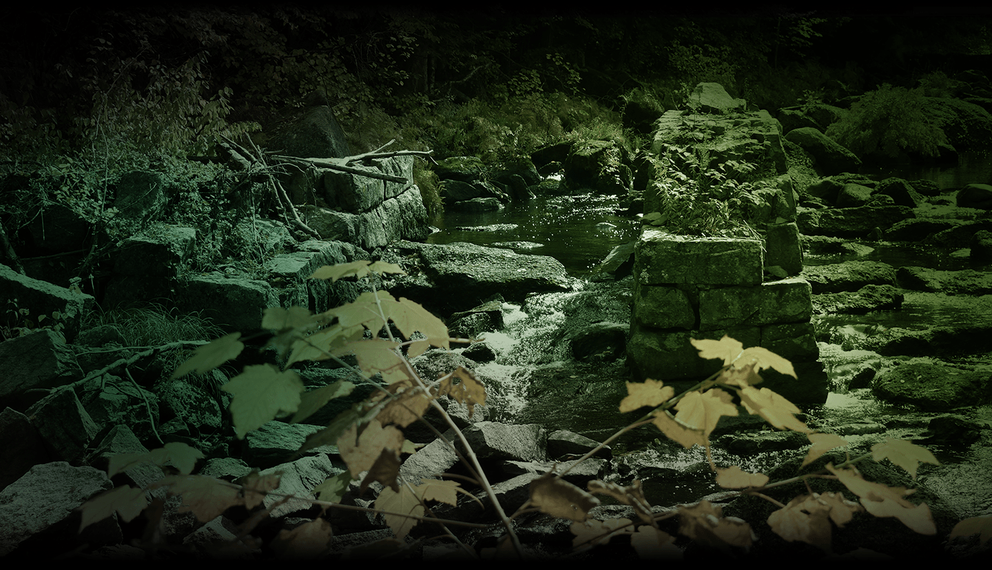 A serene, green-tinged image of a forest stream with rocks and fallen foliage.
